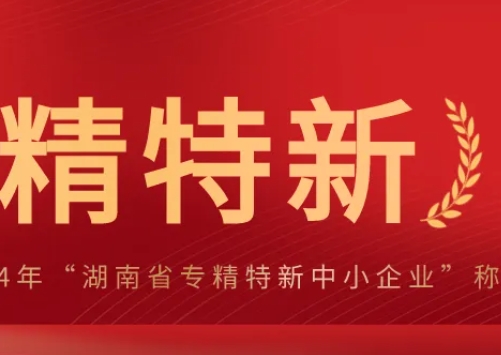 喜讯丨鼎立麓鸿荣获2024年“湖南省专精特新中小企业”称号！